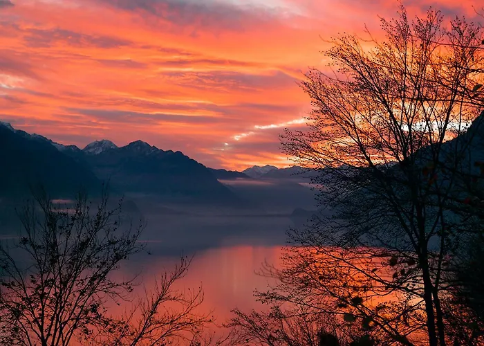 Francy - Partial Lake View