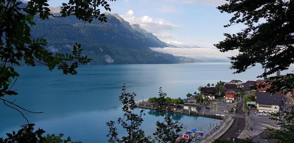 Francy Brienz (Bern)